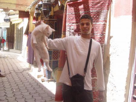 karim, le chasseur des  chats